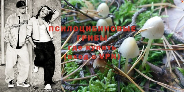 молекула духа Кукмор
