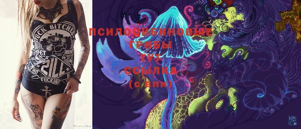 молекула духа Кукмор