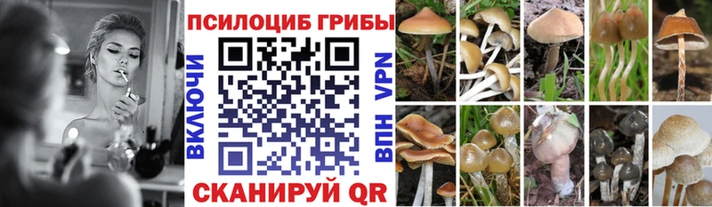 наркота  omg вход  Псилоцибиновые грибы Psilocybine cubensis  Таганрог 