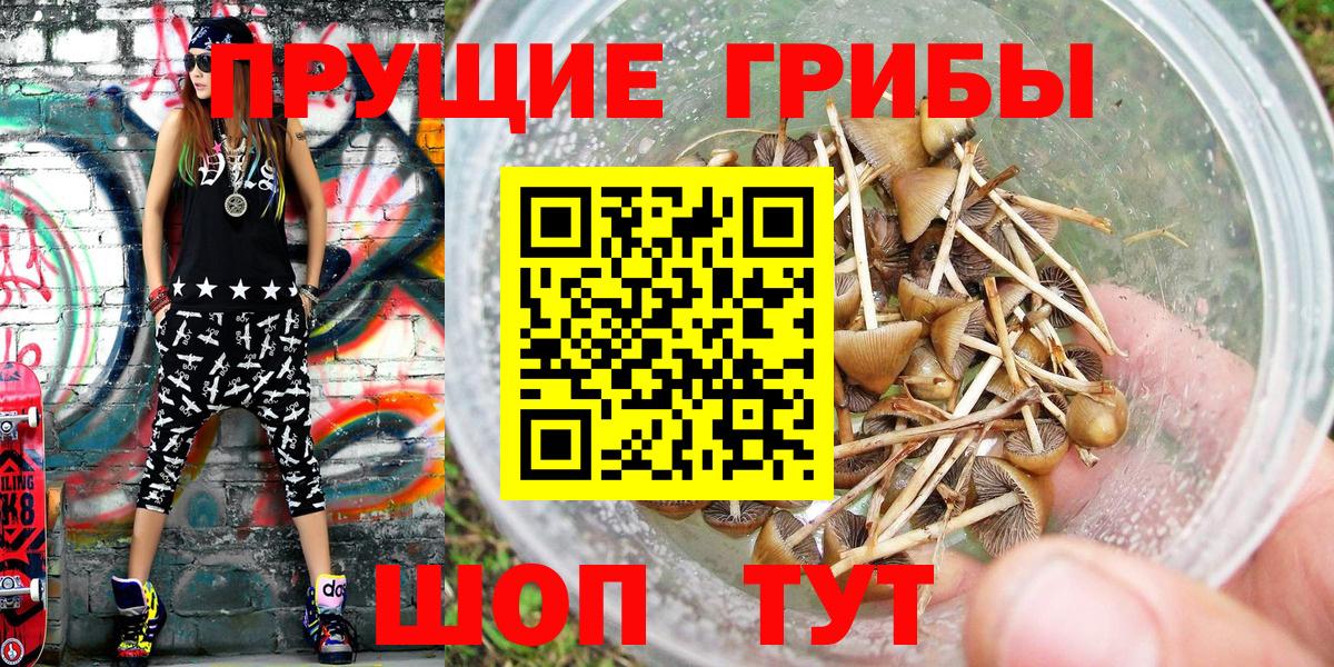 Галлюциногенные грибы Cubensis Таганрог